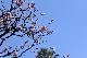 image0344