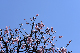 image0345