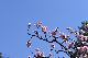image0349