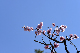 image0355