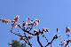 image0356