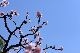 image0357