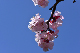 image0360