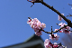 image0361
