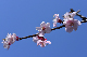 image0362