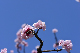 image0363