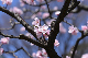 image0364