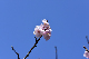 image0365