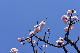 image0366