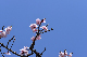 image0367