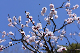 image0368