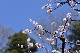 image0369