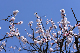 image0370