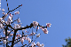 image0371