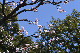 image0373
