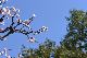 image0374