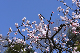 image0375