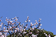 image0376