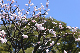 image0377
