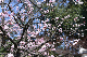 image0378