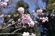 image0379