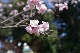 image0380