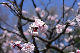 image0382