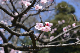 image0383
