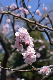 image0384