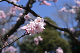 image0385