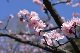 image0386