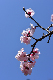 image0387