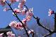 image0390