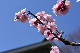 image0391