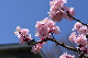 image0393