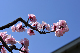image0395