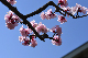 image0396