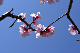 image0397