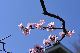 image0398