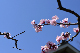 image0399