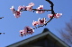 image0400