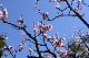 image0402