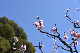 image0403