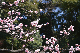 image0404