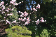 image0405