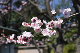 image0406
