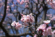 image0407