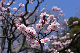 image0408