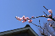 image0409