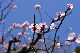 image0411